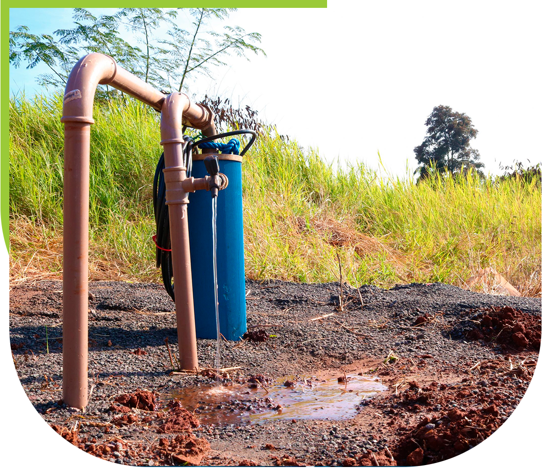 Flores Poços Artesianos em Primavera do Leste